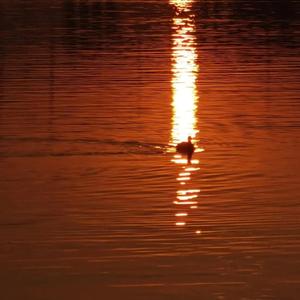 白丝美女被狂干
